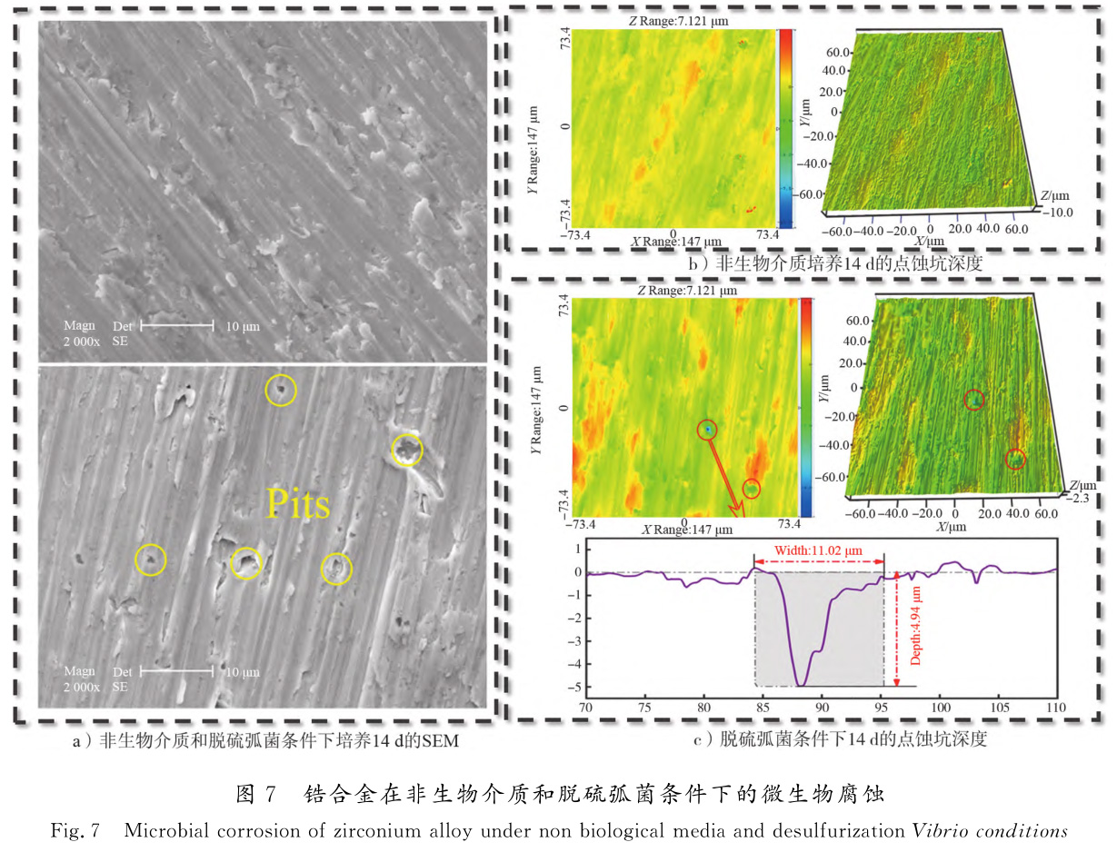 1729065275143295.jpg t7.jpg