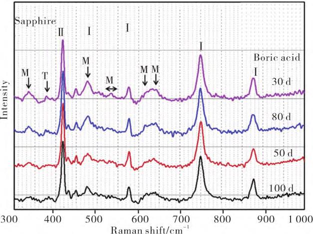 1720079302682400.jpg 7.jpg