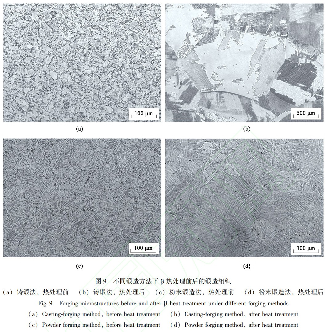 1738832854937177.jpg 9.jpg